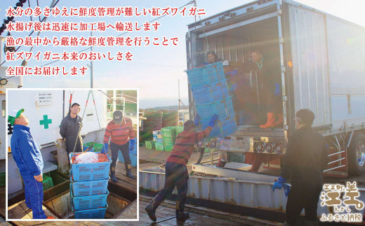 北海道江差町のふるさと納税 ＼配送月指定可／【訳あり】紅ずわいがに だし用詰め合わせ 500g　北海道日本海産 　カニかご漁師直販！　かに鍋　かに汁　かに出汁　海鮮スープ　北海道北前蟹　解凍後すぐに食べてもOK　新鮮ボイルかに脚　国産　かに足　かに脚　かに爪　かに肩　北海道産べにずわいがに