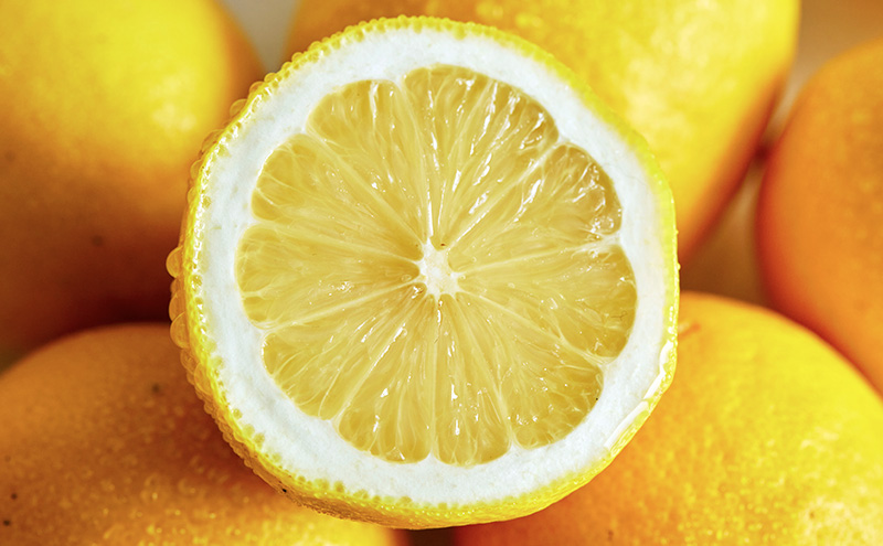 MAISON CAKE レモン  お菓子 スイーツ おやつ 甘いもの 焼き菓子 しっとり なめらか レモンケーキ 