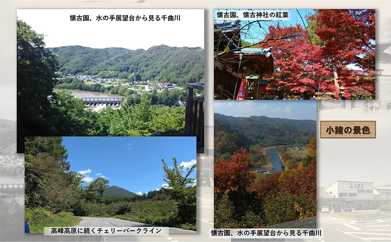 小山田いく先生クリアファイル２枚Ｂ 雑貨 キャラクター 