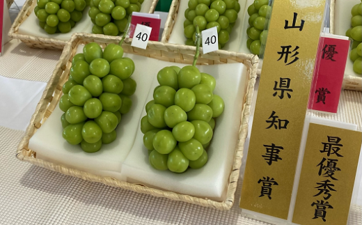 山形県南陽市のふるさと納税 【令和7年産先行予約】 【山形県ぶどう品評会 最優秀賞受賞農家】 シャインマスカット 約1.8kg (3房入り 秀) 《令和7年9月中旬～発送》 『青木農園』 ぶどう 果物 フルーツ [2027]