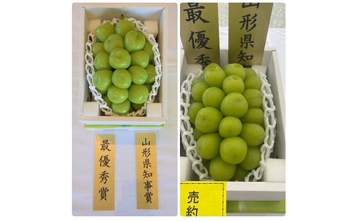 山形県南陽市のふるさと納税 【令和7年産先行予約】 【山形県ぶどう品評会 最優秀賞受賞農家】 シャインマスカット 約1.8kg (3房入り 秀) 《令和7年9月中旬～発送》 『青木農園』 ぶどう 果物 フルーツ [2027]