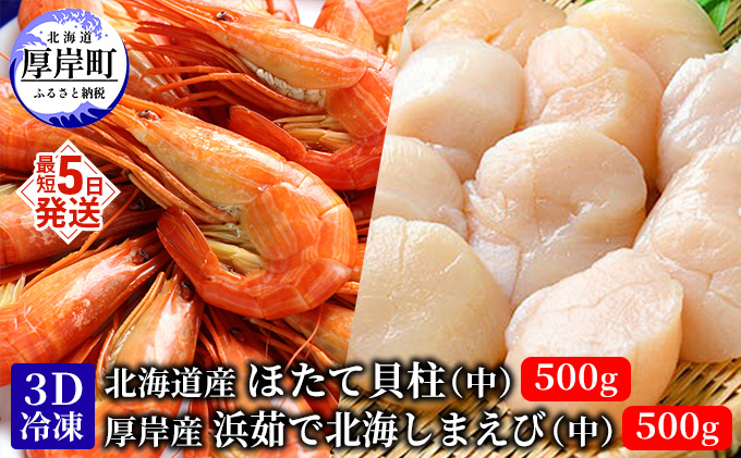 厚岸漁協イチオシ！【3D冷凍】ほたて・しまえびセット えび エビ 海老 ほたて ホタテ 帆立 玉冷 魚介類 魚介 