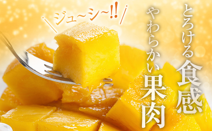 宮崎県日南市のふるさと納税 訳あり 宮崎県産 完熟マンゴー 約2.8kg 期間限定 数量限定 フルーツ 果物 くだもの 国産 食品 デザート おやつ フルーツサンド おすすめ ご褒美 贅沢 産地直送 傷 規格外 訳アリ おすそ分け 家庭用 冷蔵 宮崎県 日南市 送料無料_F77-24
