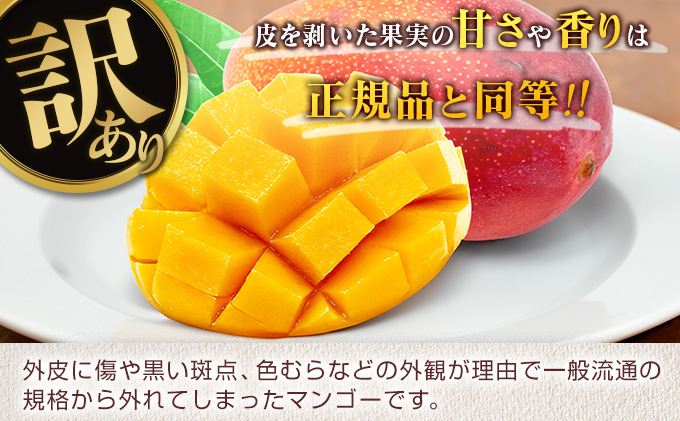 宮崎県日南市のふるさと納税 訳あり 宮崎県産 完熟マンゴー 約2.8kg 期間限定 数量限定 フルーツ 果物 くだもの 国産 食品 デザート おやつ フルーツサンド おすすめ ご褒美 贅沢 産地直送 傷 規格外 訳アリ おすそ分け 家庭用 冷蔵 宮崎県 日南市 送料無料_F77-24