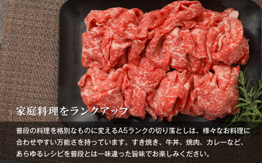 【A5ランク限定】淡路島産黒毛和牛 切り落とし 500g　 [神戸ビーフ 牛肉  高級]