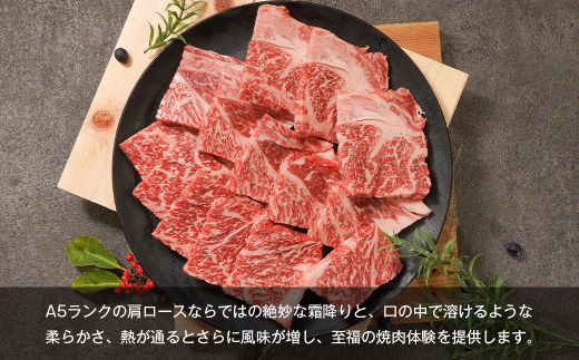 【A5ランク限定】淡路島産黒毛和牛 焼肉用 肩ロース 500g【神戸牛】    焼肉セット 牛肉  高級 神戸牛