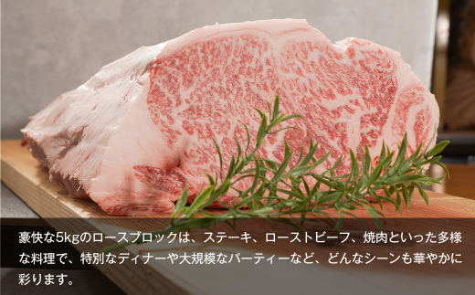 【A5ランク限定】淡路島産黒毛和牛 ロースブロック 5kg　[神戸ビーフ 冷蔵 高級]