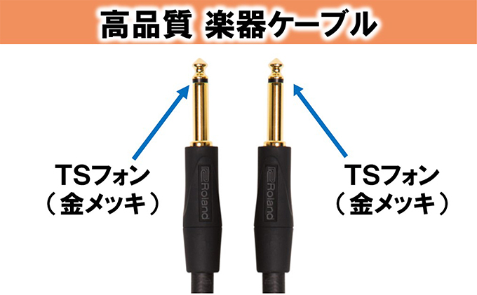 静岡県浜松市のふるさと納税 【Roland純正】高品質楽器ケーブル 1.5m/RIC-G5【配送不可：離島】 雑貨 日用品