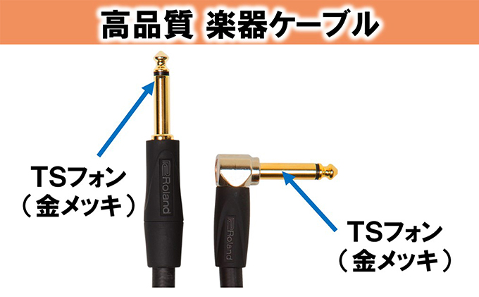 静岡県浜松市のふるさと納税 【Roland純正】高品質楽器ケーブル 1.5m/RIC-G5A【配送不可：離島】 雑貨 日用品