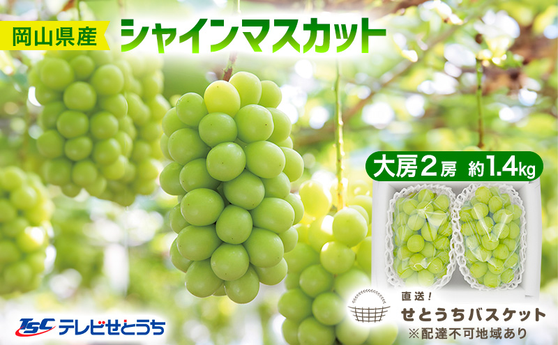 yRʖszԂǂ 2026N s\ VC}XJbg [ 2[ 1.4kg uhE  RY Y t[c ʕ IƂoXPbg