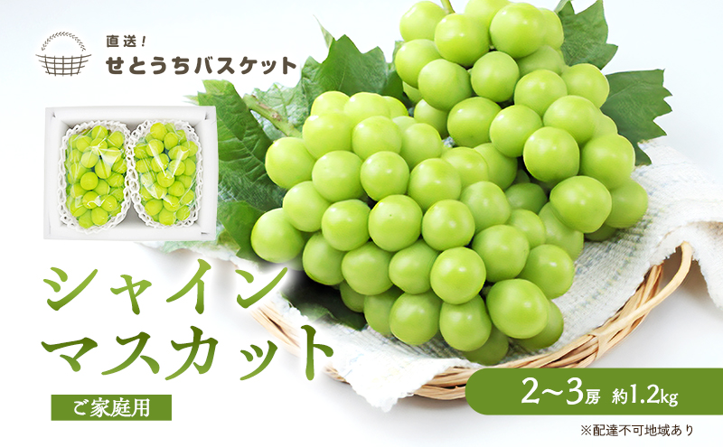 yR˓szԂǂ 2026N s\ ƒp VC}XJbg 2`3[ 1.2kg uhE  RY Y t[c ʕ IƂoXPbg