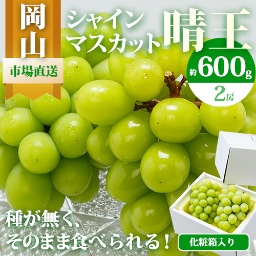 [2026年先行予約]シャインマスカット晴王 はれおう 2房(1房600g以上) 化粧箱入 株式会社山博(中本青果)[2026年8月下旬-10月中旬頃出荷]岡山県 浅口市 シャインマスカット 晴王 ぶどう マスカット 大粒 フルーツ 秀品 果物 ギフト 国産 岡山県産 送料無料 [配送不可地域あり]