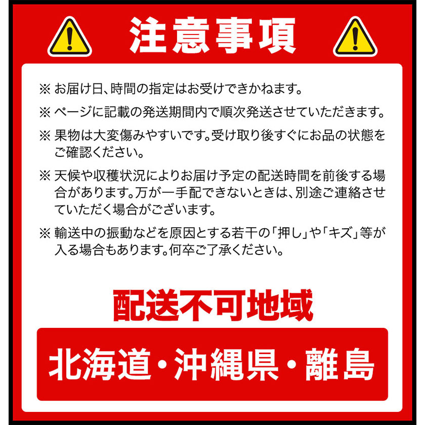 岡山県浅口市のふるさと納税 【2026年先行予約】シャインマスカット晴王 はれおう 2房(1房600g以上) 化粧箱入 株式会社山博(中本青果)《2026年8月下旬-10月中旬頃出荷》岡山県 浅口市 シャインマスカット 晴王 ぶどう マスカット 大粒 フルーツ 秀品 果物 ギフト 国産 岡山県産 送料無料 【配送不可地域あり】