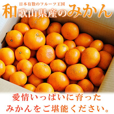 G7071_【2026年先行予約】初夏のみかん なつみ 3kg