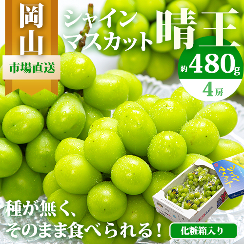 [2026年先行予約]シャインマスカット晴王 はれおう 4房(1房480g以上) 約2kg 株式会社山博(中本青果)[2026年8月下旬-10月中旬頃出荷]岡山県 浅口市 シャインマスカット 晴王 ぶどう マスカット 大粒 フルーツ 秀品 旬 果物 贈り物 ギフト 国産 岡山県産 送料無料 [配送不可地域あり]