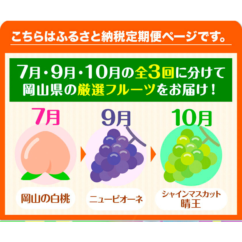岡山県浅口市のふるさと納税 【2026年先行予約】 岡山の厳選フルーツ 定期便3回コース 岡山の白桃 6玉(1.6kg以上) ニューピオーネ 2房(1房600g以上) シャインマスカット 晴王 2房(1房600g以上) 化粧箱入り 株式会社山博(中本青果) 《2026年7月上旬-10月下旬頃出荷》岡山県 浅口市 送料無料【配送不可地域あり】