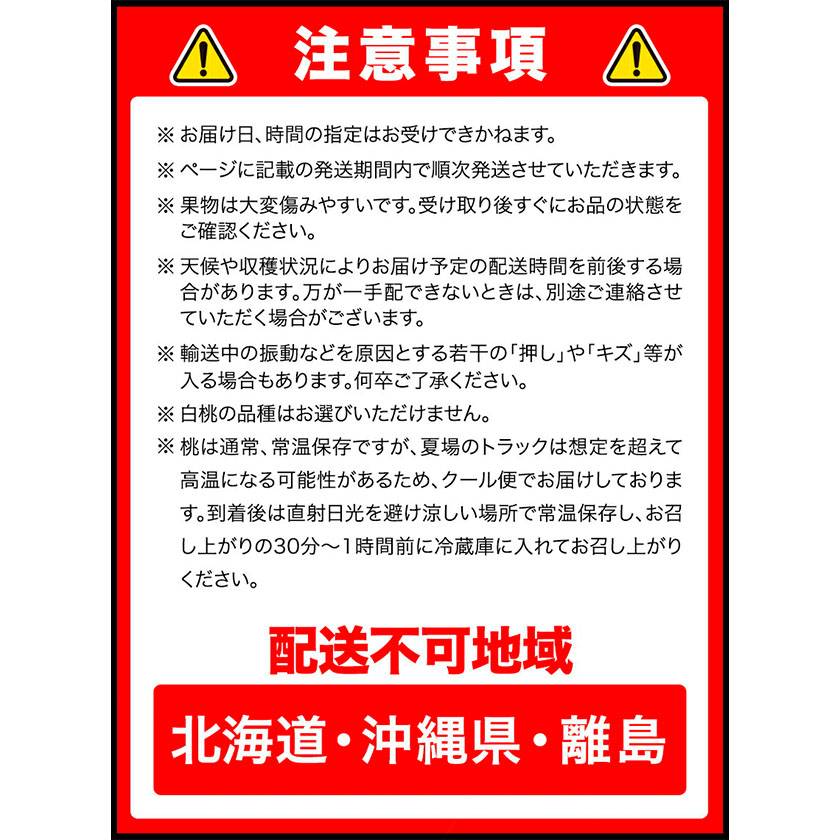 岡山県浅口市のふるさと納税 【2026年先行予約】 岡山の厳選フルーツ 定期便3回コース 岡山の白桃 6玉(1.6kg以上) ニューピオーネ 2房(1房600g以上) シャインマスカット 晴王 2房(1房600g以上) 化粧箱入り 株式会社山博(中本青果) 《2026年7月上旬-10月下旬頃出荷》岡山県 浅口市 送料無料【配送不可地域あり】