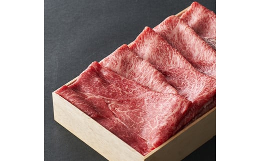 yꌧߍ]szyՊρzߍ]wԐgxĂԂԗp400gy①zyFR21Wz