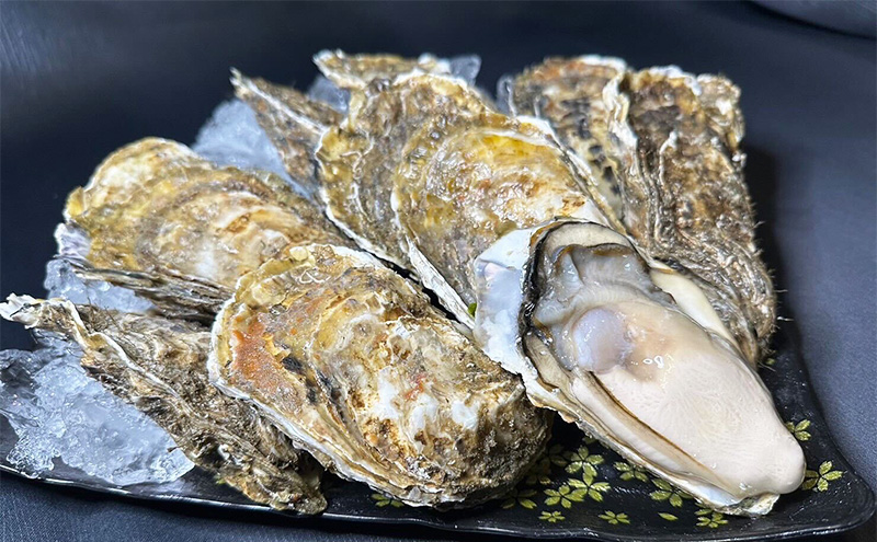 訳あり 北海道 厚岸産 殻付き 牡蠣 1kg 魚貝類 生牡蠣 海の幸 海鮮 オイスター 濃厚な甘み グルメ 
