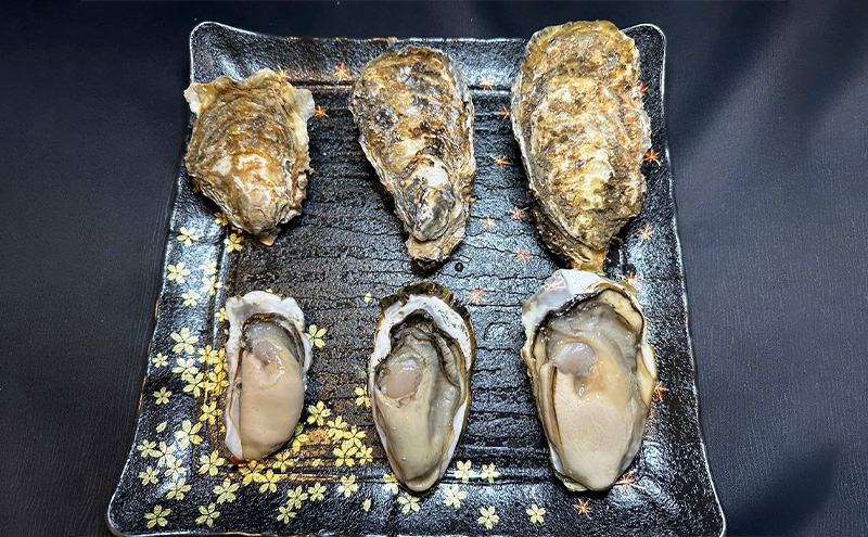 北海道厚岸町のふるさと納税 訳あり 北海道 厚岸産 殻付き 牡蠣 700g 魚貝類 生牡蠣 海の幸 海鮮 オイスター 濃厚な甘み グルメ