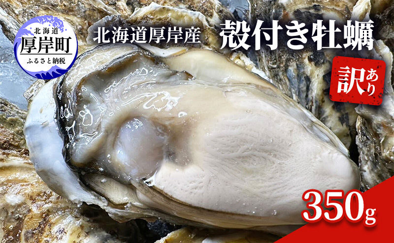 訳あり 北海道 厚岸産 殻付き 牡蠣 350g 魚貝類 生牡蠣 海の幸 海鮮 オイスター 濃厚な甘み グルメ マルえもん