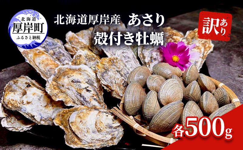 訳あり 北海道 厚岸産 あさり 殻付き牡蠣 各500g 魚貝類 海の幸 グルメ 大粒 肉厚 海鮮 オイスター 濃厚な甘み 