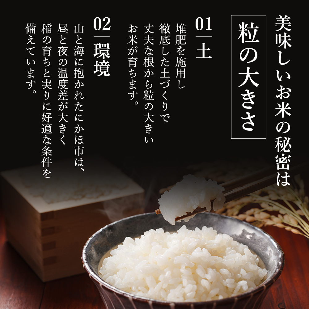 米 定期便 全12回 秋田県産 あきたこまち 4kg (2kg×2)×12回 計48kg 令和7年産［2025年11月頃から出荷予定］土づくり実証米 JAしんせい【 精米 白米 米 コメ お米 おこめ ブランド米 ご飯 ごはん 先行受付 新米 低たんぱく 産地直送 送料無料 高評価 秋田 にかほ 】