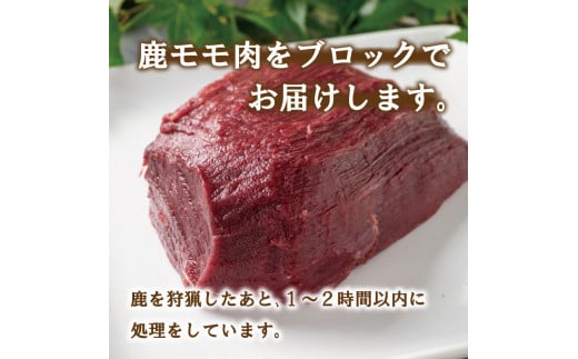愛南ジビエ の 鹿 モモ 肉 800g （ 200g × 4パック ） シカ 冷凍 真空 パック 国産 天然 鹿肉 精肉 ジビエ肉 カルシウム 低カロリー 低脂肪 高たんぱく ヘルシー コラーゲン 赤身 焼肉 コンフィ ロースト ステーキ 燻製 バーベキュー しょうが焼き カレー 生姜焼き ハンバーグ シュウマイ 餃子 煮込み ポトフ ぼたん鍋 牡丹鍋 鍋セット お鍋 人気 山鯨 愛媛 愛南
