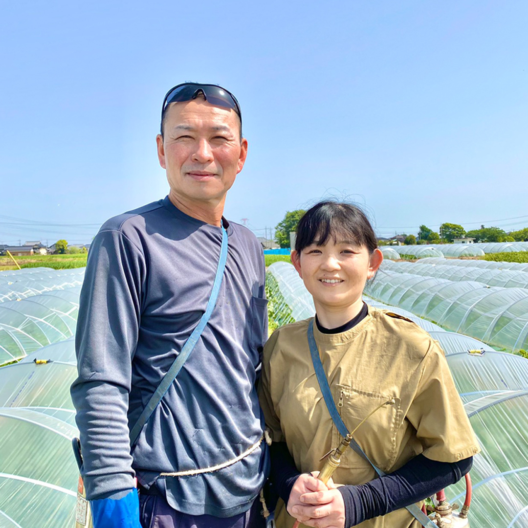 茨城県八千代町のふるさと納税 【先行予約 2026年6月下旬以降発送 】 【 令和8年産 】 【 訳あり 】 朝採り とうもろこし （ ゴールドラッシュ ） 約 6kg トウモロコシ スイートコーン コーン 野菜 産地直送 期間限定 岩田さん 昼めし旅 [AX021ya]