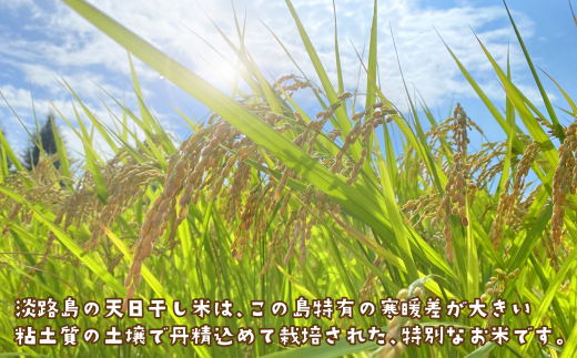 健幸農園の天日干し米5kg　[精米 白米]