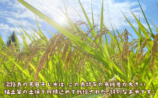 健幸農園の天日干し米10kg　[精米 白米]