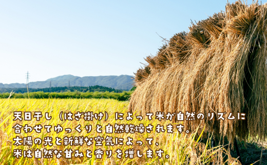 健幸農園の天日干し米10kg　[精米 白米]