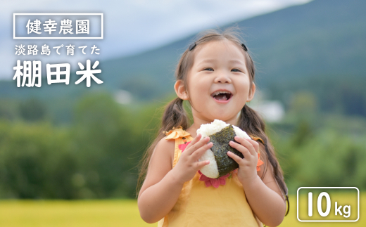 健幸農園の棚田米 10kg 【2025年産新米】 精米 白米 農家直送