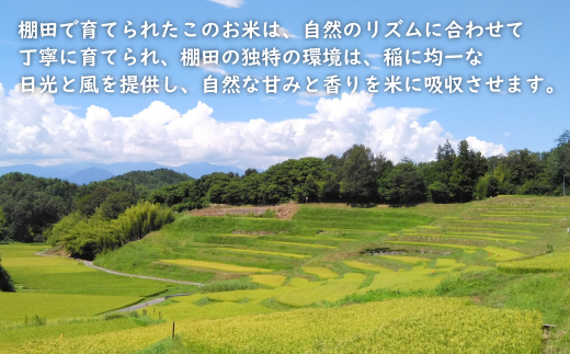 健幸農園の棚田米 10kg 【2025年産新米】 精米 白米 農家直送