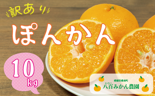 【 訳あり 】 ぽんかん 10kg 先行予約 <発送期間：1月中旬～無くなり次第終了> 八百みかん農園 の ぽんかん 10000円 家庭用 10kg 先行 事前 予約 受付 みかん 不知火 はるみ 防腐剤不使用 愛媛 産地直送 国産 農家直送 糖度 甘味 果樹園 期間限定 数量限定 特産品 ジュース 人気 限定 愛南  新鮮 果実 さわやか 風味 甘い フルーツ 果物 柑橘 蜜柑