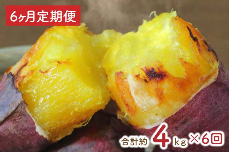 y錧sszy6ցz󂠂聚g͂邩ⓀĂ3.7kg{܂i킳܂@v4kgiEY-30j
