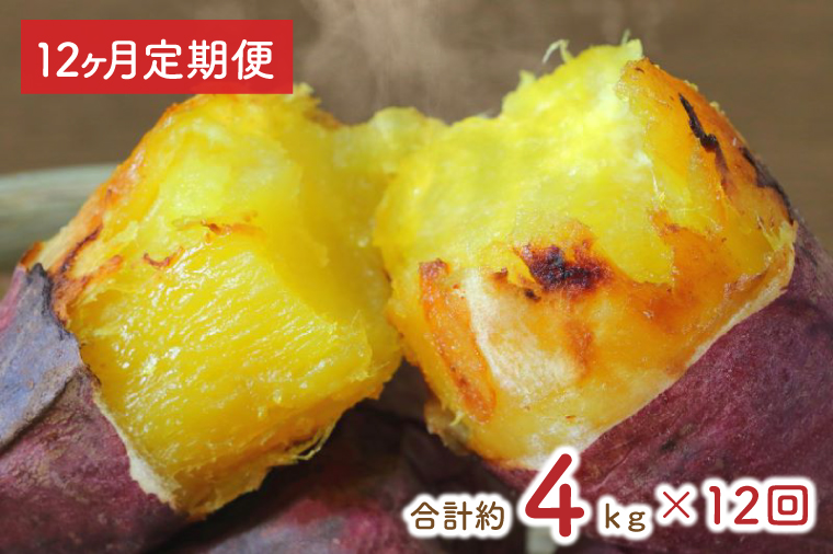 y錧sszy12ցz󂠂聚g͂邩ⓀĂ3.7kg{܂i킳܂@v4kgiEY-31j
