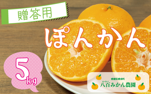 【 贈答用 】 ぽんかん 5kg 先行予約 <発送期間：1月中旬～無くなり次第終了> 八百みかん農園 の ぽんかん 8000円 家庭用 5kg 先行 事前 予約 受付 みかん 不知火 はるみ 防腐剤不使用 愛媛 産地直送 国産 農家直送 糖度 甘味 果樹園 期間限定 数量限定 特産品 プレゼント 人気 限定 愛南 正品 果実 ギフト 風味 甘い フルーツ 果物 柑橘 蜜柑