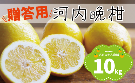 【 贈答用 】 河内晩柑 10kg 先行予約 <発送期間：4月上旬～無くなり次第終了> 八百みかん農園 の かわちばんかん 15000円 家庭用 先行 事前 予約 受付 みかん 愛南ゴールド 美生柑 文旦 グレープフルーツ 和製 防腐剤不使用 ギフト 愛媛 産地直送 国産 農家直送 糖度 果樹園 期間限定 数量限定 特産品 ジュース 人気 限定 愛南  さわやか 甘い フルーツ 果物 柑橘 蜜柑