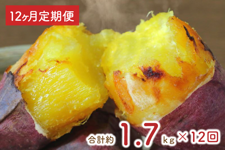 【茨城県行方市】【12ヶ月定期便】★訳あり★紅はるか冷凍焼き芋約1.5kg+おまかせ品種さつまいも 合計約1.7kg(EY-34)