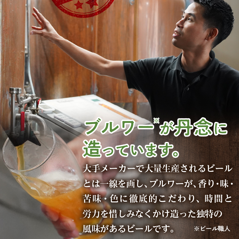 滝川クラフトビール工房 りんご＆ドライ 6本セット｜北海道 滝川市 クラフトビール ビール 酒 お酒 りんご  リンゴ ドライ セット
