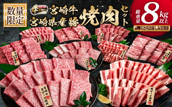 数量限定 6か月 お楽しみ 定期便 宮崎牛