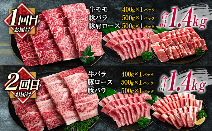宮崎県日南市のふるさと納税 数量限定 6か月 お楽しみ 定期便 宮崎牛 豚肉 焼肉 セット 総重量8kg以上 牛肉 ビーフ ポーク 黒毛和牛 ミヤチク モモ バラ 肩ロース ミスジ ウデ 豚バラ BBQ 鉄板焼き 食べ比べ 国産 食品 おかず お弁当 冷凍 お取り寄せ グルメ 宮崎県 日南市 送料無料_N8-25