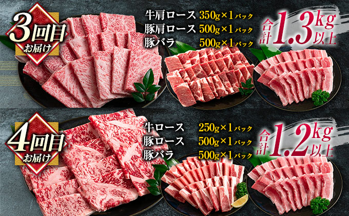 宮崎県日南市のふるさと納税 数量限定 6か月 お楽しみ 定期便 宮崎牛 豚肉 焼肉 セット 総重量8kg以上 牛肉 ビーフ ポーク 黒毛和牛 ミヤチク モモ バラ 肩ロース ミスジ ウデ 豚バラ BBQ 鉄板焼き 食べ比べ 国産 食品 おかず お弁当 冷凍 お取り寄せ グルメ 宮崎県 日南市 送料無料_N8-25