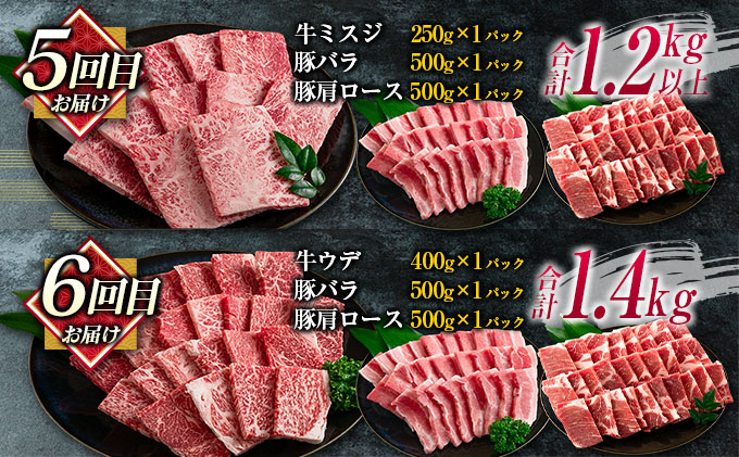宮崎県日南市のふるさと納税 数量限定 6か月 お楽しみ 定期便 宮崎牛 豚肉 焼肉 セット 総重量8kg以上 牛肉 ビーフ ポーク 黒毛和牛 ミヤチク モモ バラ 肩ロース ミスジ ウデ 豚バラ BBQ 鉄板焼き 食べ比べ 国産 食品 おかず お弁当 冷凍 お取り寄せ グルメ 宮崎県 日南市 送料無料_N8-25