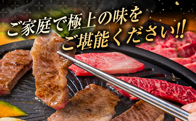 宮崎県日南市のふるさと納税 数量限定 6か月 お楽しみ 定期便 宮崎牛 豚肉 焼肉 セット 総重量8kg以上 牛肉 ビーフ ポーク 黒毛和牛 ミヤチク モモ バラ 肩ロース ミスジ ウデ 豚バラ BBQ 鉄板焼き 食べ比べ 国産 食品 おかず お弁当 冷凍 お取り寄せ グルメ 宮崎県 日南市 送料無料_N8-25