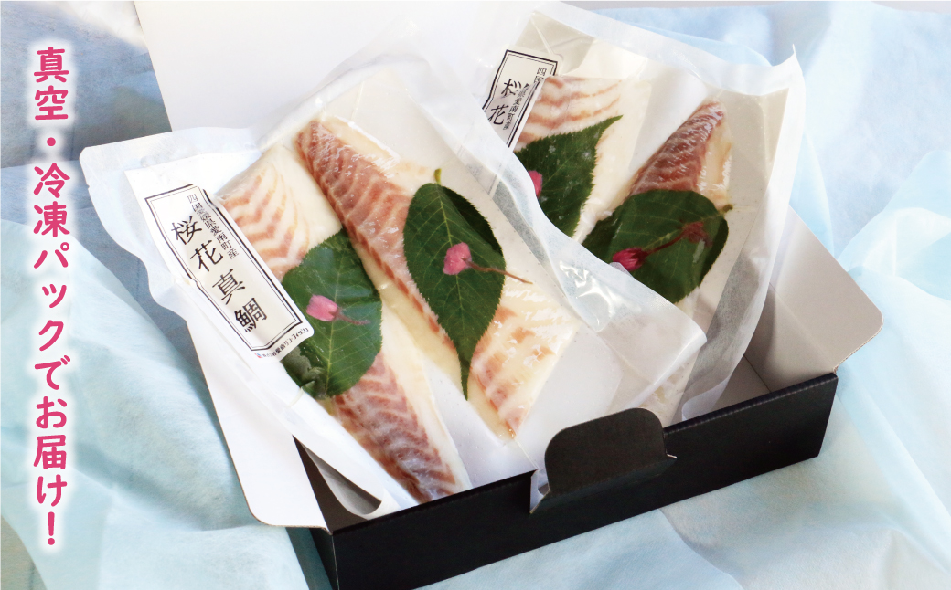 桜花 真鯛 切り身 4柵 合計 540g （ 270g ×2 パック ） 朝〆 まだい 鯛 愛南町 新鮮 冷凍 愛媛県 神経締め 皮引き 三枚おろし 国産 魚介 特産品 魚介類 海産物 鮮魚 養殖 産地直送 海鮮 ブランド 刺身 海鮮丼 塩焼き 煮付け 酒蒸し カルパッチョ 鯛飯 鯛しゃぶ 鯛めし 鯛茶漬け 鯛漬け お正月 お祝い 年末 年始 紅白 めでたい 真空 パック 柵 愛南サン・フィッシュ