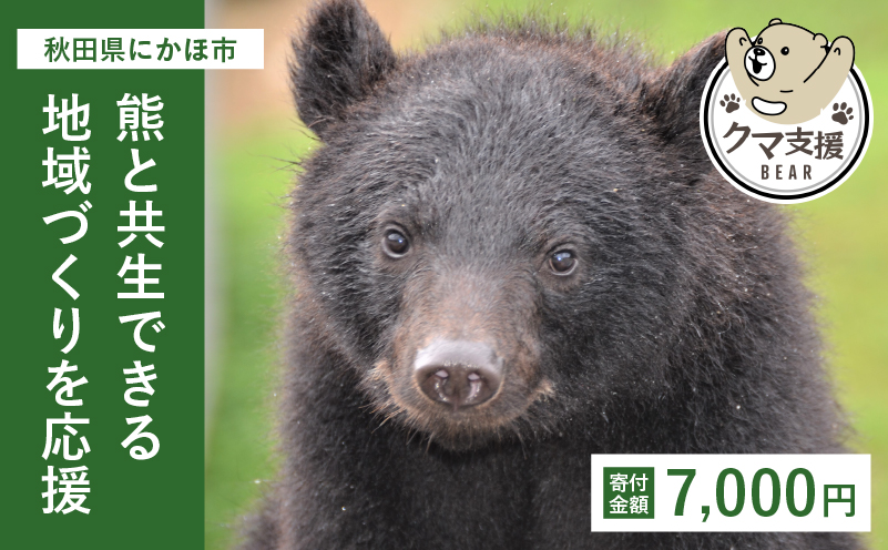 yHcɂَszsN}ƂvWFNgt񕍂̂7,000~