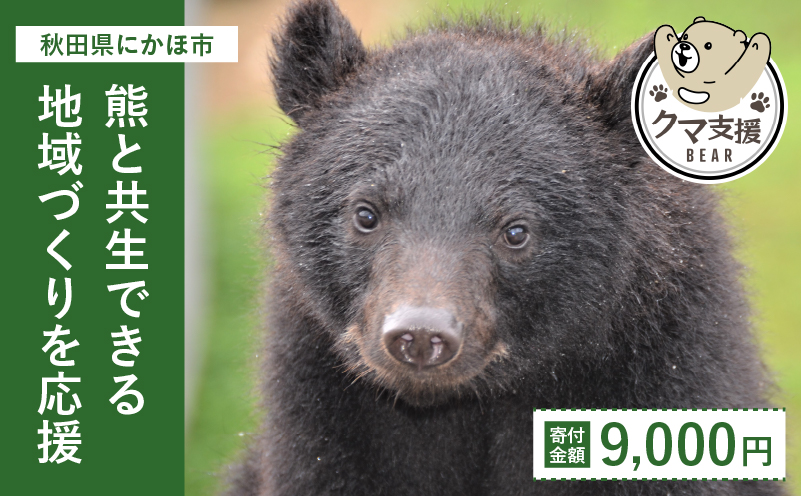 yHcɂَszsN}ƂvWFNgt񕍂̂9,000~