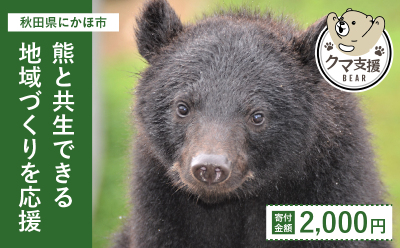 《クマといい距離プロジェクト》寄附のみ2,